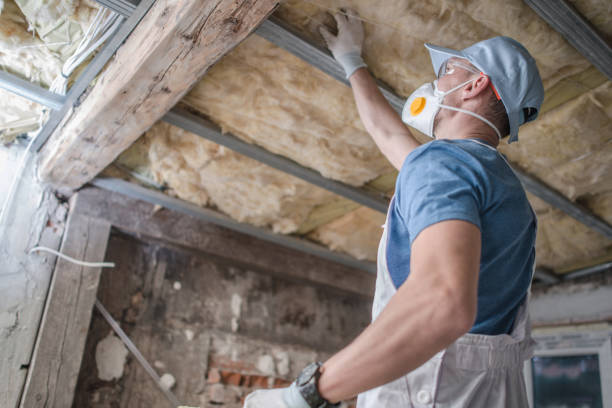 Best Insulation for Commercial Buildings  in Bermuda Run, NC
