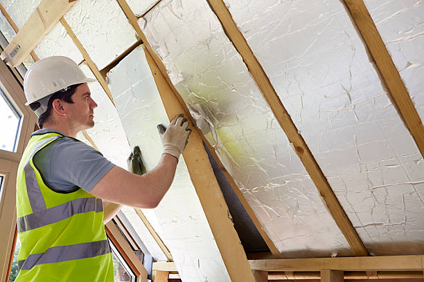 Best Energy-efficient Insulation  in Bermuda Run, NC