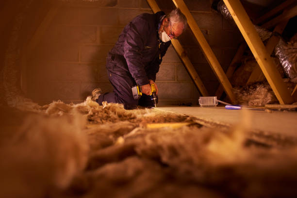 Best Insulation Contractors for Homes  in Bermuda Run, NC